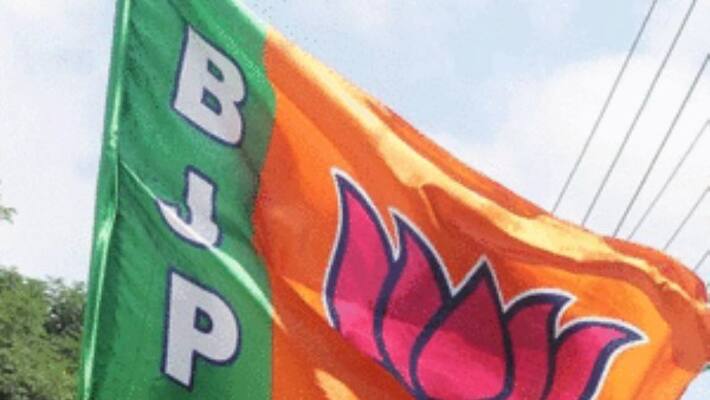 Will Quit State BJP Core Panel Says Goa Former Minister Will Quit State BJP Core Panel Says Goa Former Minister