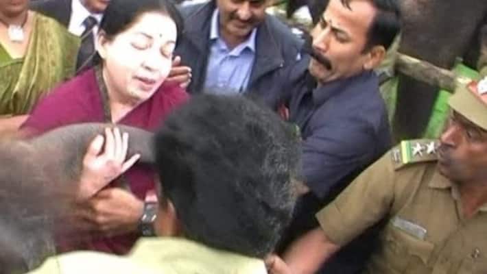 Jayalalitha Narrow escape from an Elephant attack at Mudumalai Jayalalitha Narrow escape from an Elephant attack at Mudumalai