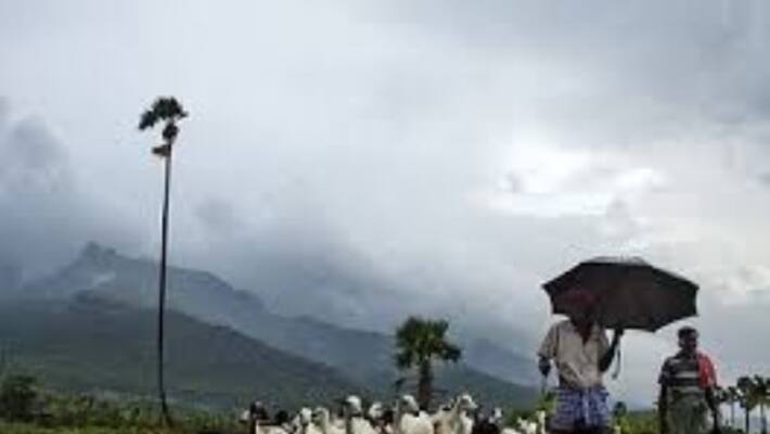 today and tommorrow rain will be shower in south districts today and tommorrow rain will be shower in south districts