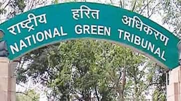 NGT fines Delhi government Rs 50 crore for not taking action against illegal steel pickling units