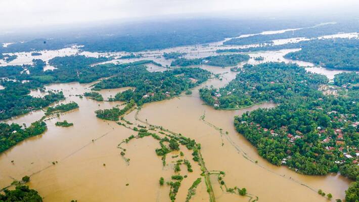 Affected bio diversity may cause calamities... Affected bio diversity may cause calamities...