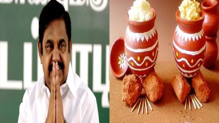 Pongal bans prohibition: HC disagrees to accept AIADMK appeal Pongal bans prohibition: HC disagrees to accept AIADMK appeal