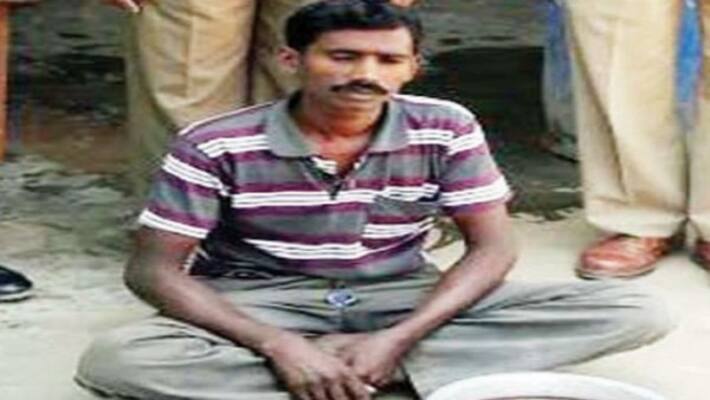 Rs 10 thousand fine for who hunt wild boar Forest Department Warning ... Rs 10 thousand fine for who hunt wild boar Forest Department Warning ...