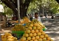Maharashtra Alphonso mango growers bypass APMC, choose to sell produce directly to buyers