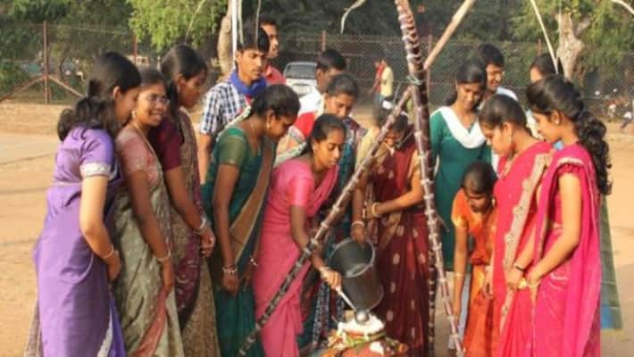 this is the best time for pongal this is the best time for pongal