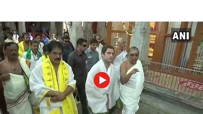 congress chief rahul gandhi south indian traditional dressing style congress chief rahul gandhi south indian traditional dressing style