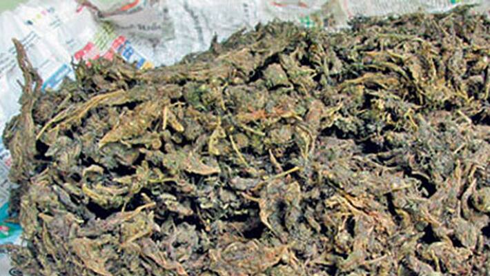 ganja drug seizedfrom thiruvananthapuram ganja drug seizedfrom thiruvananthapuram