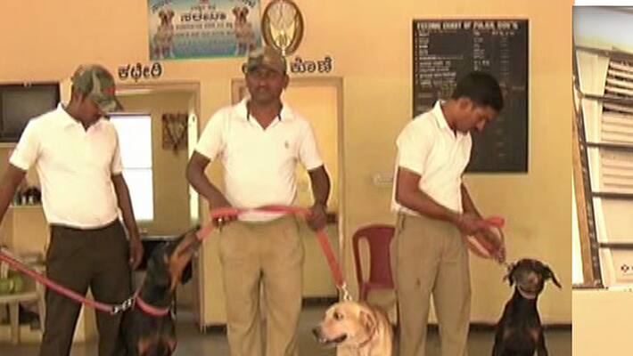 Ballary Police dogs getting royal tratment Ballary Police dogs getting royal tratment