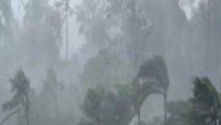 5 Kerala Districts Put On Yellow Alert Heavy RainFall Expected 5 Kerala Districts Put On Yellow Alert Heavy RainFall Expected