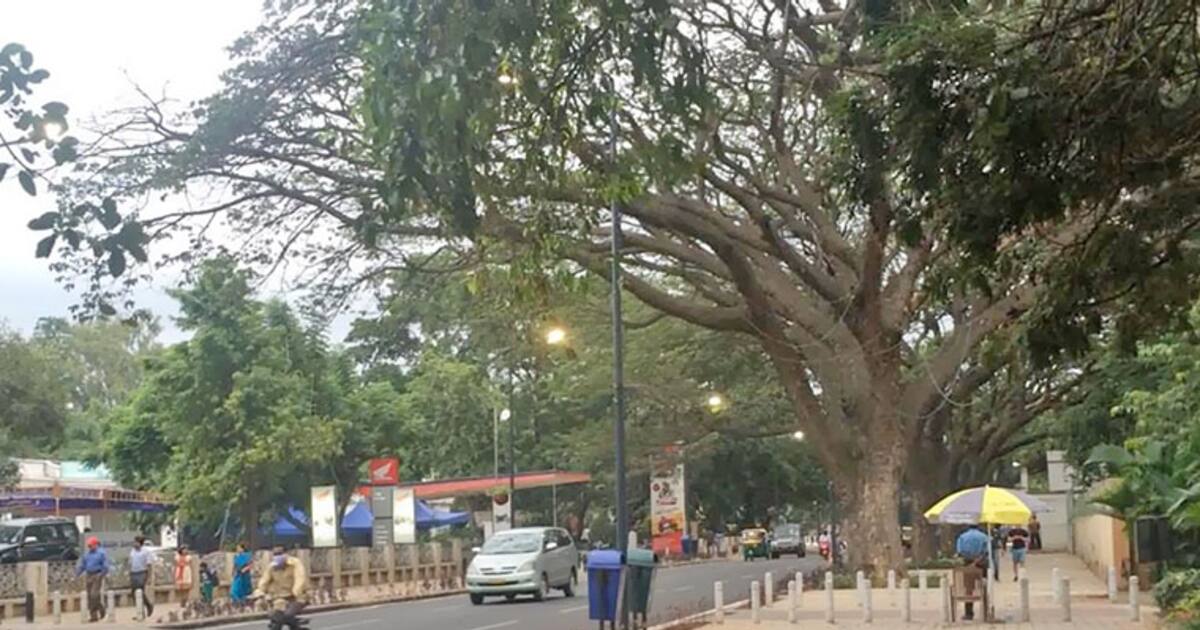 St Marks Road in Bengaluru, Tender SURE hailed for successful design by