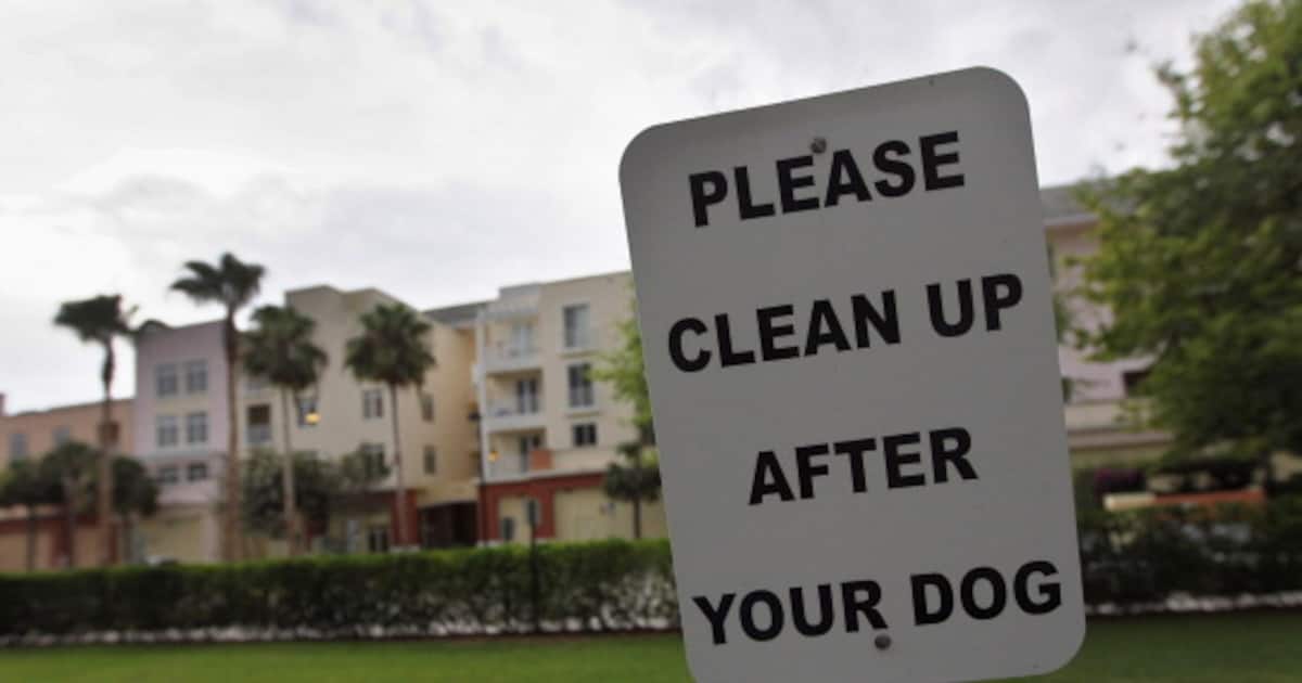 Bengaluru implements citywide clean-up rules to pet owners