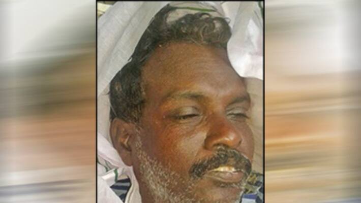 jallikattu viewer dead bull attacked in madhurai festivities became tragedy ... jallikattu viewer dead bull attacked in madhurai festivities became tragedy ...