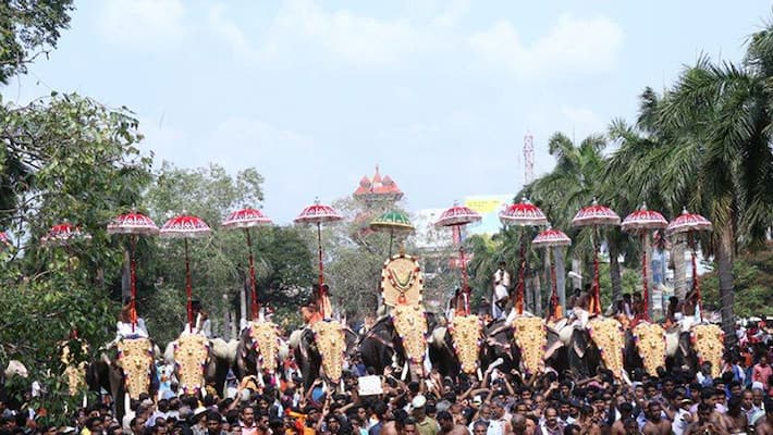 Thrissur Pooram history origin story behind iconic festival Thrissur Pooram history origin story behind iconic festival