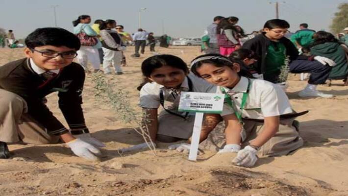 ngo plant-trees-due-to-vardha-storm ngo plant-trees-due-to-vardha-storm