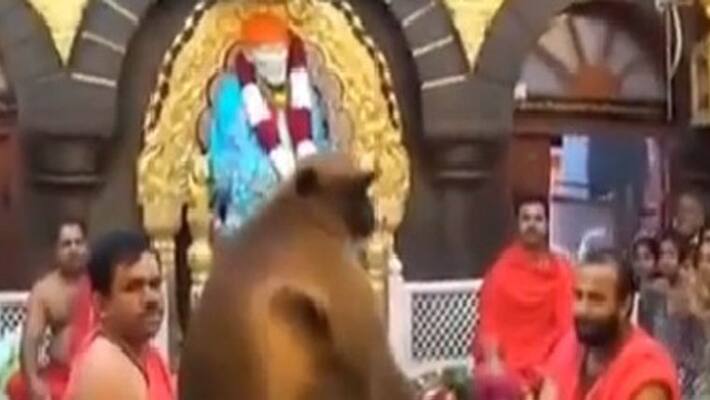 Everyday Hanumanta Will Come to Shiradi Sai Baba Temple Everyday Hanumanta Will Come to Shiradi Sai Baba Temple