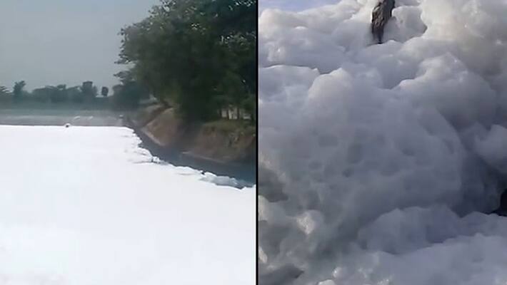 Lake pollution: Karnataka state officials to submit report on failure in maintaining lakes Lake pollution: Karnataka state officials to submit report on failure in maintaining lakes