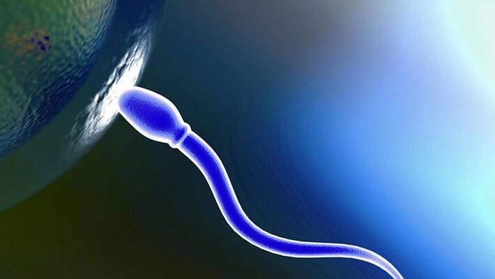 new sperm sorting device can help infertile couples new sperm sorting device can help infertile couples