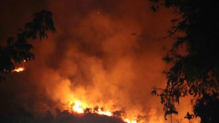 Chennai girl killed in kurangani wildfire Chennai girl killed in kurangani wildfire
