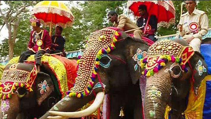 Supreme court order about elephant conses Supreme court order about elephant conses
