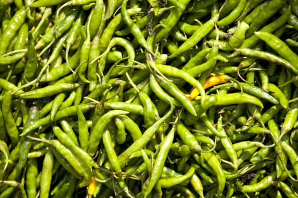 ಖಾರ ಖಾರ ಮೆಣಸಿನಕಾಯಿ ಇಷ್ಟಪಡೋರಿಗೆ ಇಲ್ಲಿದೆ ಗುಡ್ ನ್ಯೂಸ್...! | Health benefits of including chilli in your diet