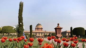 Mughal Garden to open for public in February 2023 Here is everything you need to know about it gcw