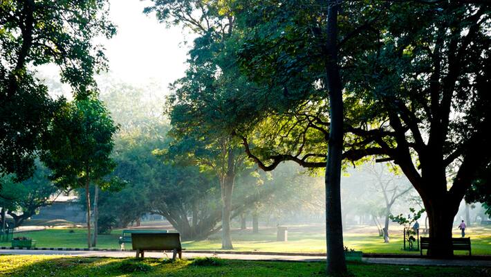 Biogas unit Will Be Install in Cubbon Park in Bengaluru Biogas unit Will Be Install in Cubbon Park in Bengaluru