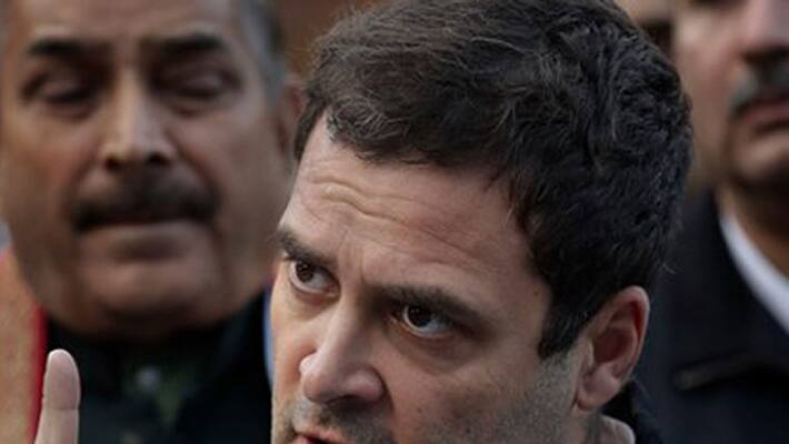Rahul Slams Kerala Youth Congress Over Cow Slaughter Rahul Slams Kerala Youth Congress Over Cow Slaughter